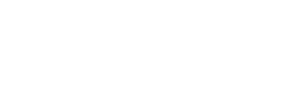 The New Orleans Times-Picayune